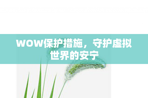 守护虚拟世界的安宁图片