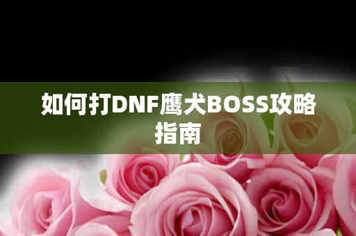如何打DNF鹰犬BOSS攻略指南图片