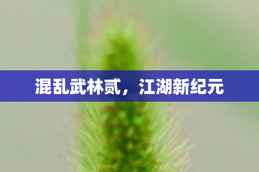 混乱武林贰图片