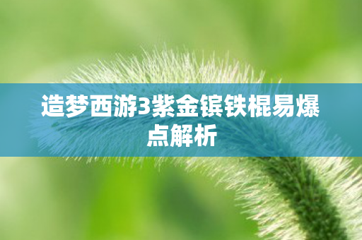 造梦西游3紫金镔铁棍易爆点解析图片