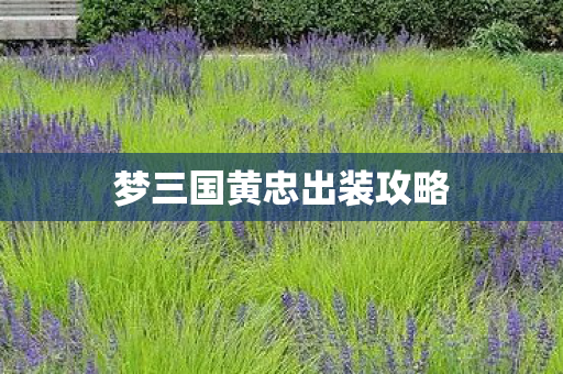 梦三国黄忠出装攻略图片