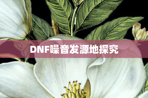 DNF噪音发源地探究