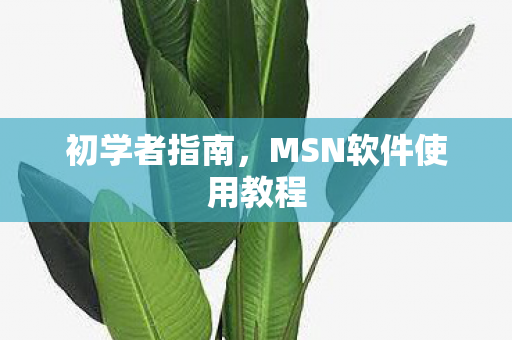 MSN软件使用教程图片