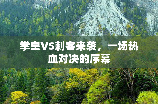 拳皇VS刺客来袭，一场热血对决的序幕