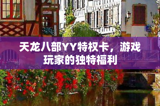 天龙八部YY特权卡图片