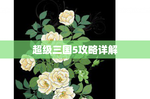超级三国5攻略详解图片