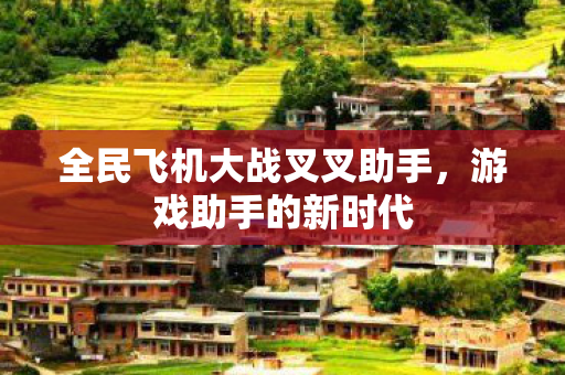 全民飞机大战叉叉助手图片