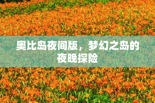 梦幻之岛的夜晚探险图片