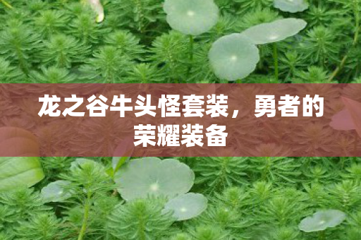 龙之谷牛头怪套装图片