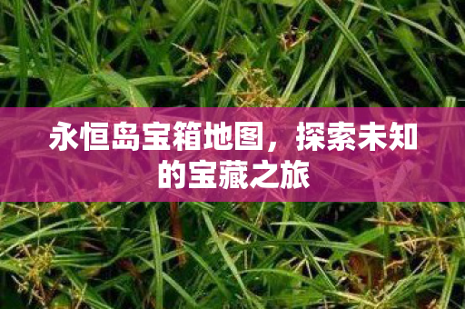 探索未知的宝藏之旅图片