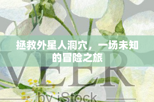一场未知的冒险之旅图片