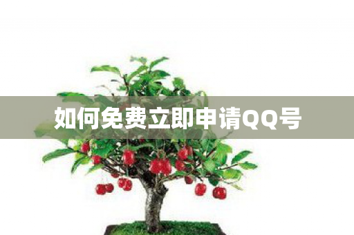如何免费立即申请QQ号图片