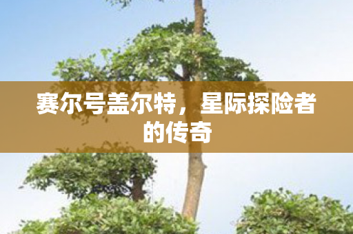 星际探险者的传奇图片