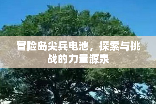 探索与挑战的力量源泉图片