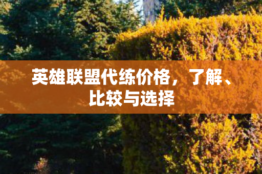 英雄联盟代练价格图片
