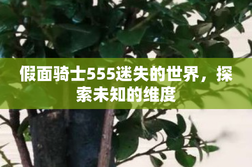 假面骑士555迷失的世界图片