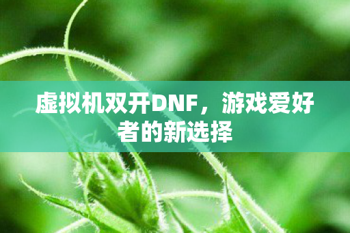 游戏爱好者的新选择图片