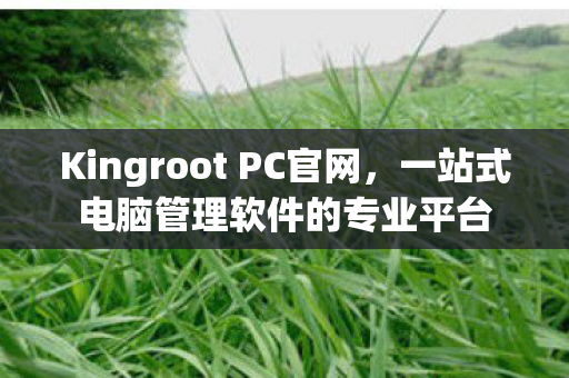 一站式电脑管理软件的专业平台图片