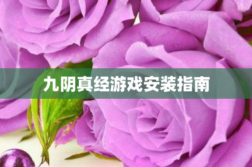 九阴真经游戏安装指南图片