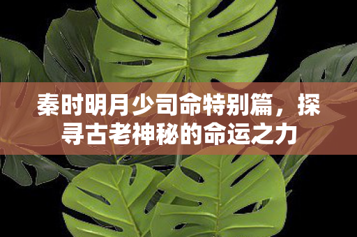 探寻古老神秘的命运之力图片