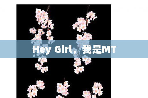 Hey Girl图片