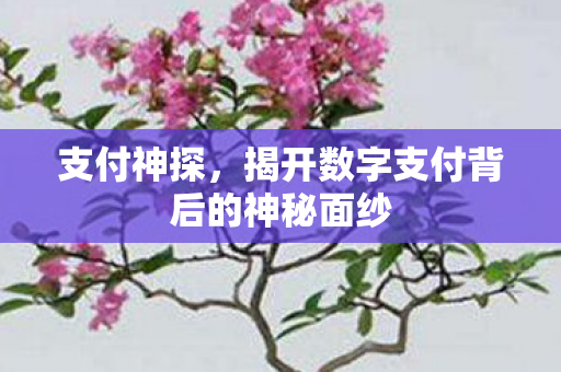 揭开数字支付背后的神秘面纱图片