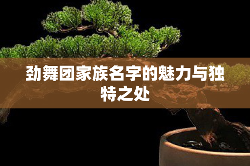 劲舞团家族名字的魅力与独特之处图片