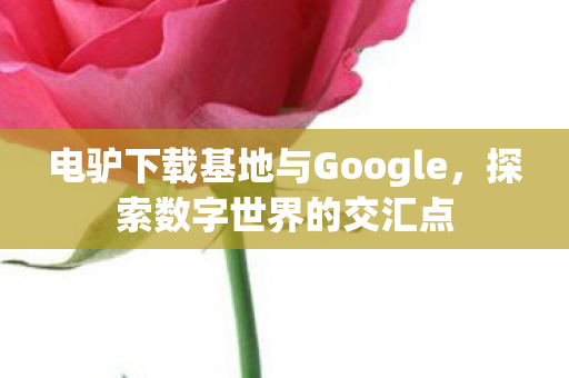 电驴下载基地与Google图片
