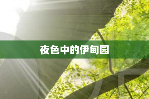 夜色中的伊甸园图片