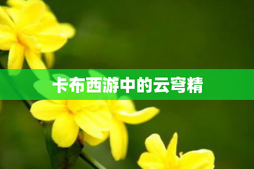 卡布西游中的云穹精图片