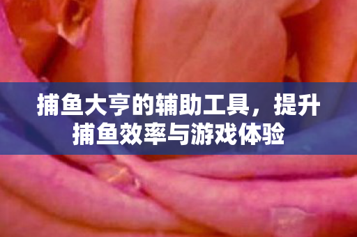 提升捕鱼效率与游戏体验图片