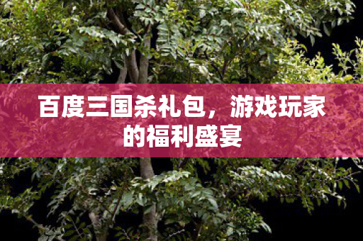 游戏玩家的福利盛宴图片