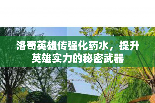 提升英雄实力的秘密武器图片
