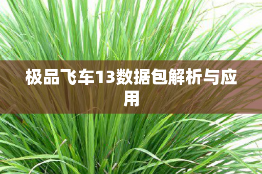 极品飞车13数据包解析与应用图片