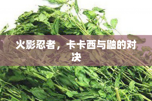 卡卡西与鼬的对决图片