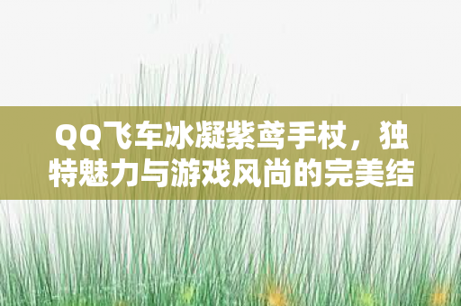 独特魅力与游戏风尚的完美结合图片
