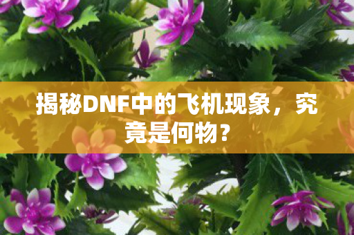 揭秘DNF中的飞机现象图片