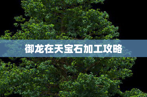 御龙在天宝石加工攻略图片