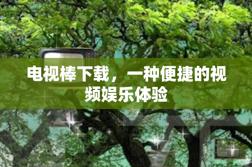 一种便捷的视频娱乐体验图片