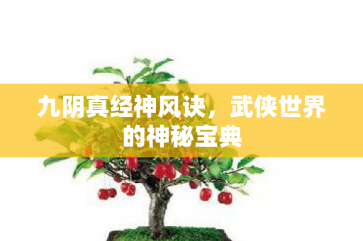 武侠世界的神秘宝典图片