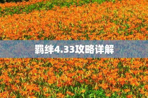 33攻略详解图片