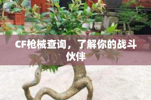 了解你的战斗伙伴图片