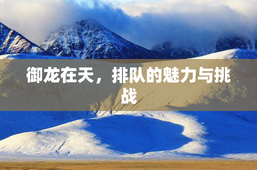 排队的魅力与挑战图片