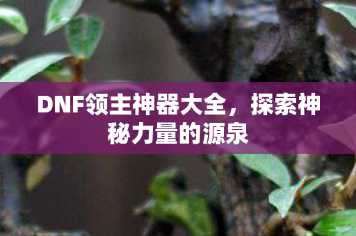 DNF领主神器大全图片