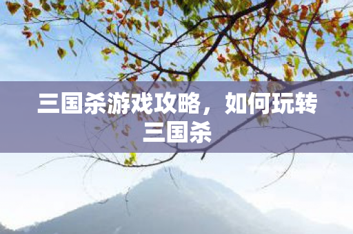 三国杀游戏攻略图片