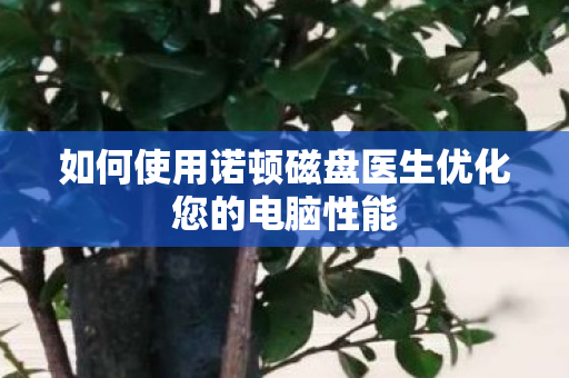 如何使用诺顿磁盘医生优化您的电脑性能图片