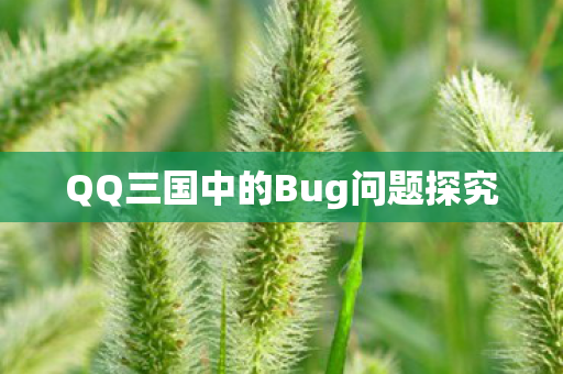 QQ三国中的Bug问题探究图片