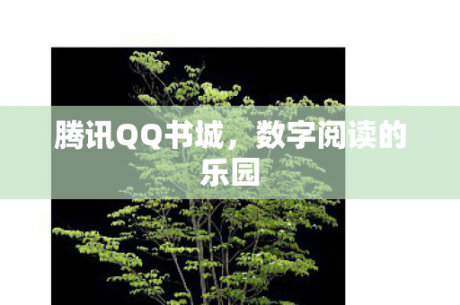 数字阅读的乐园图片