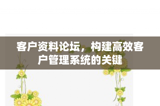 构建高效客户管理系统的关键图片