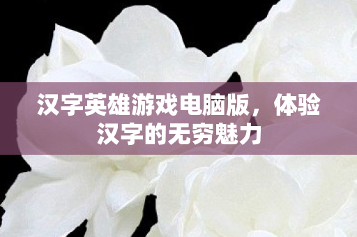 汉字英雄游戏电脑版图片